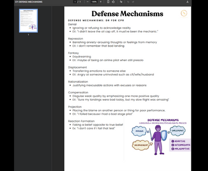 CFI + Interview Pilot Prep- Lifetime Access - Airlines on Autopilot